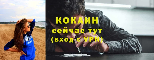 спайс Анива