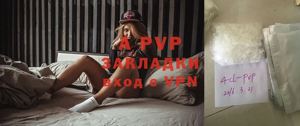 дурь Ахтубинск