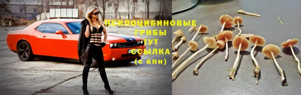 MDMA Михайловка