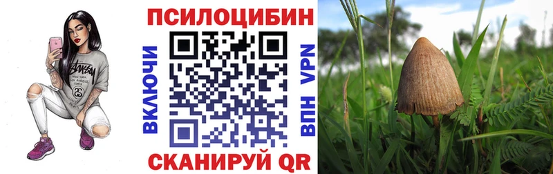 Псилоцибиновые грибы Psilocybe  купить наркоту  Уссурийск 