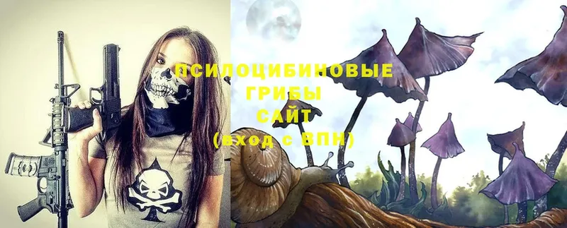 Псилоцибиновые грибы Magic Shrooms  Уссурийск 