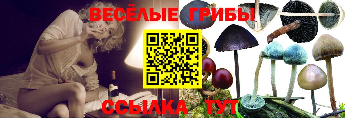 МДМА  ГАШ  ЭКСТАЗИ  Уссурийск  COCAIN  Метадон  МЕФ   Марихуана  КОКАИН  Вход с VPN 