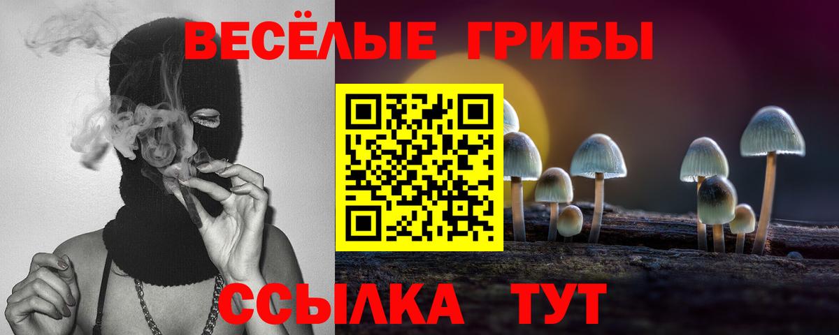 Псилоцибиновые грибы ЛСД Уссурийск